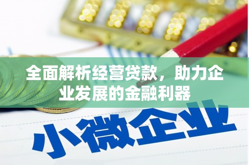 鄞州全面解析经营贷款，助力企业发展的金融利器