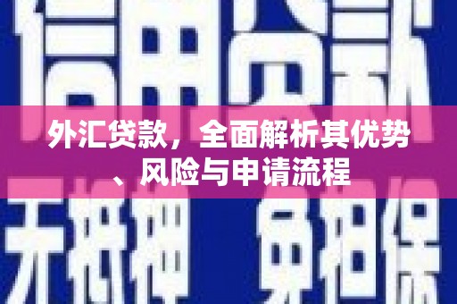 鄞州外汇贷款，全面解析其优势、风险与申请流程