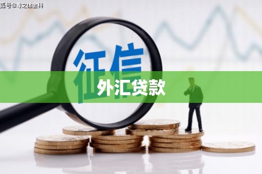 鄞州外汇贷款