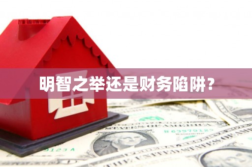 鄞州明智之举还是财务陷阱？