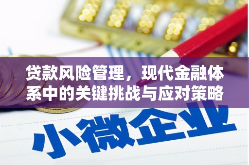 鄞州贷款风险管理，现代金融体系中的关键挑战与应对策略