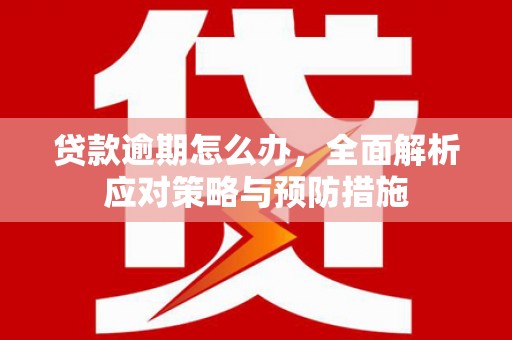 鄞州贷款逾期怎么办，全面解析应对策略与预防措施