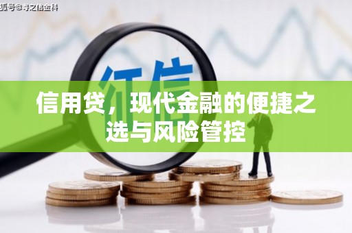鄞州信用贷，现代金融的便捷之选与风险管控