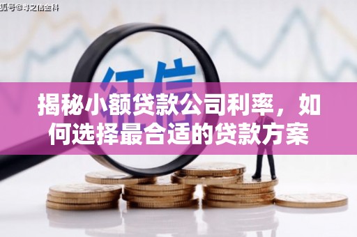 鄞州揭秘小额贷款公司利率，如何选择最合适的贷款方案