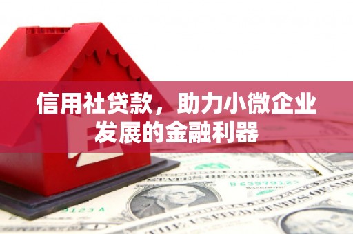 鄞州信用社贷款，助力小微企业发展的金融利器