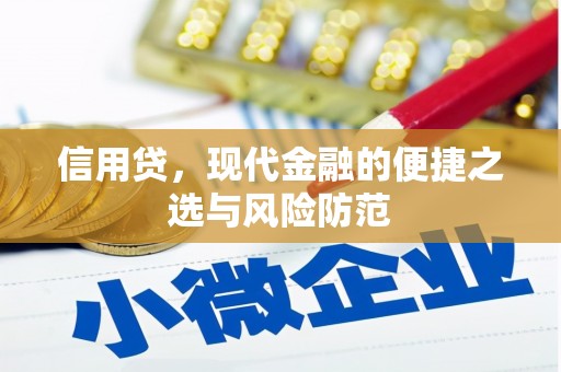 鄞州信用贷，现代金融的便捷之选与风险防范