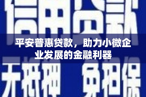 鄞州平安普惠贷款，助力小微企业发展的金融利器