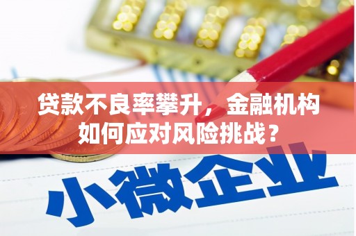 鄞州贷款不良率攀升，金融机构如何应对风险挑战？