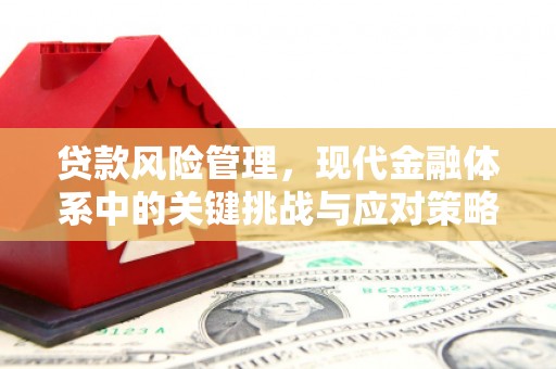 鄞州贷款风险管理，现代金融体系中的关键挑战与应对策略