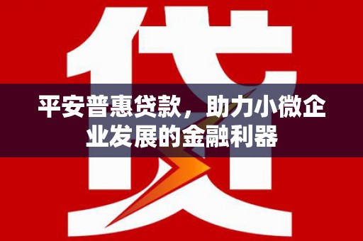 鄞州平安普惠贷款，助力小微企业发展的金融利器