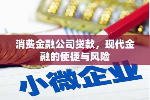 鄞州消费金融公司贷款，现代金融的便捷与风险