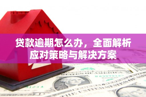 鄞州贷款逾期怎么办，全面解析应对策略与解决方案