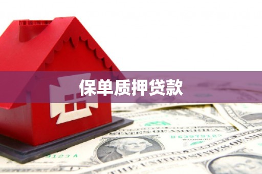 鄞州保单质押贷款
